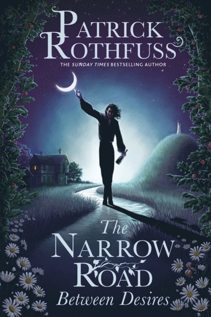 Patrick Rothfuss - Narrow Road Between Desires, E-bok