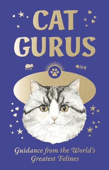 Cat Gurus (Mini Deck) by Liz Faber Caroline Roberts, Caroline Roberts, Liz Faber