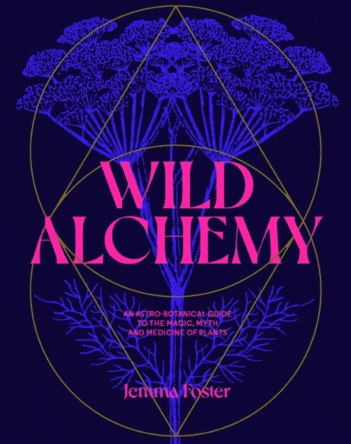 Jemma Foster - Wild Alchemy, E-bok