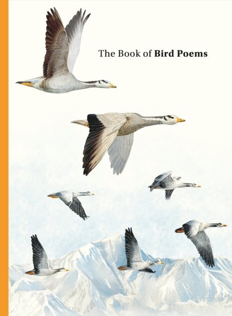 Ana Sampson - Book of Bird Poems, E-bok
