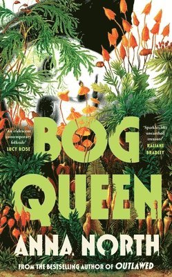 Anna North - Bog Queen, Häftad