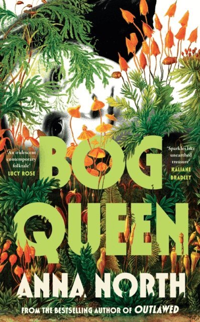 Anna North - Bog Queen, E-bok