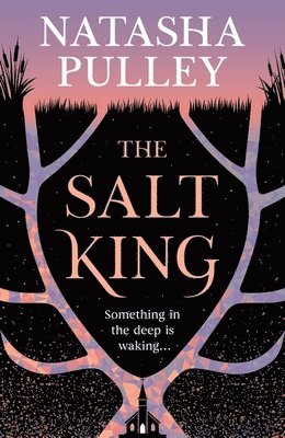 Natasha Pulley - Salt King, Inbunden