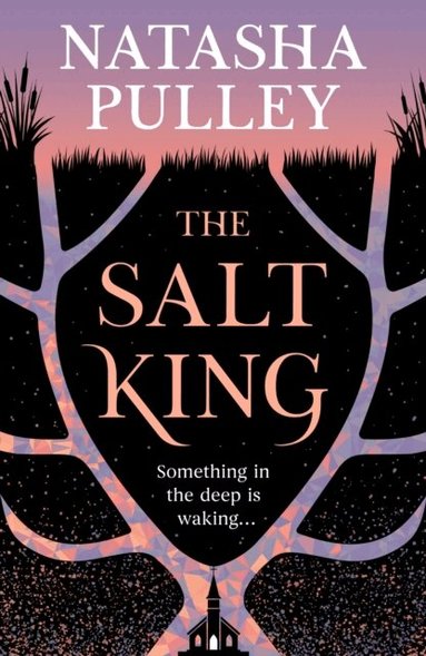 Natasha Pulley - Salt King, E-bok