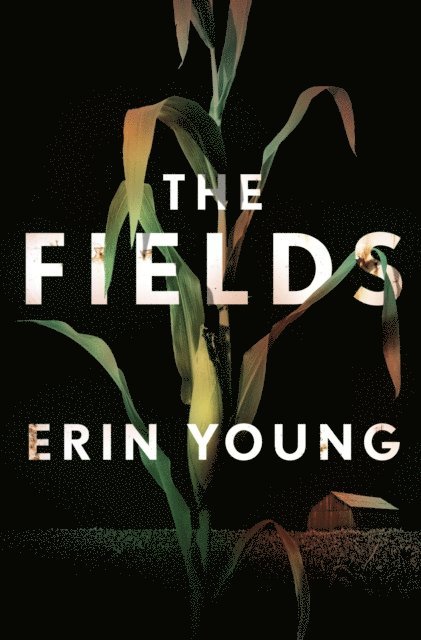 Erin Young - Fields, E-bok. Tillgänglighet: Lägg i varukorg