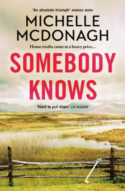 Michelle McDonagh - Somebody Knows, E-bok