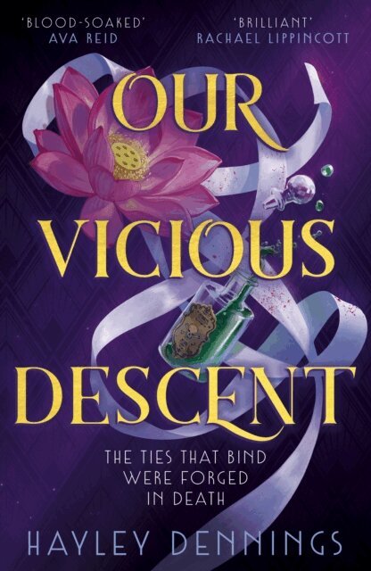 Hayley Dennings - Our Vicious Descent, E-bok