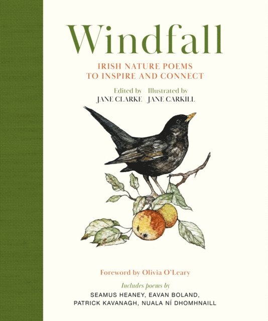 Jane Clarke - Windfall, E-bok