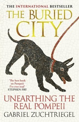 Gabriel Zuchtriegel - Buried City, Inbunden