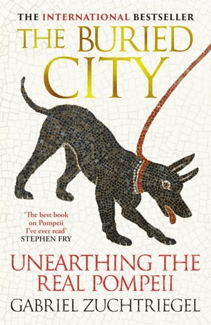 Gabriel Zuchtriegel - Buried City, E-bok