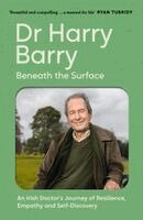 Harry Barry - Beneath the Surface, Häftad