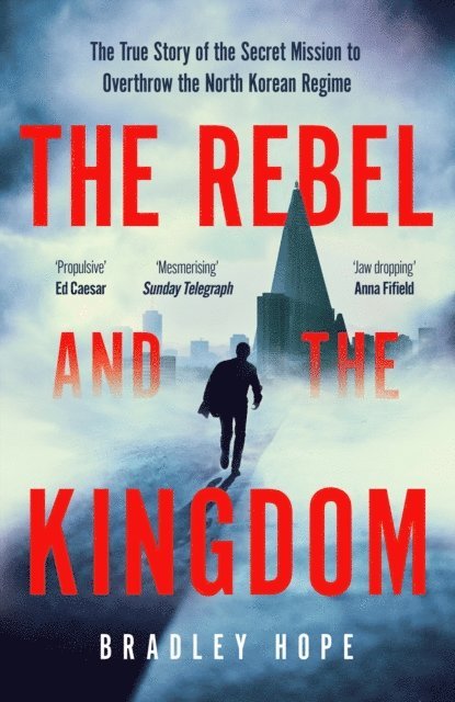 Bradley Hope - Rebel and the Kingdom, E-bok