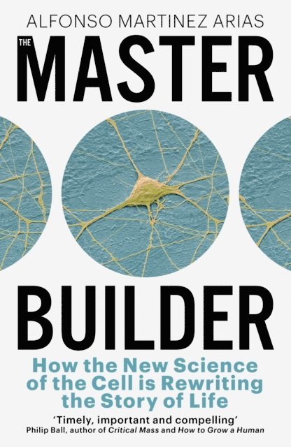 Alfonso Martinez Arias - Master Builder, E-bok