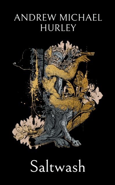 Andrew Michael Hurley - Saltwash, E-bok