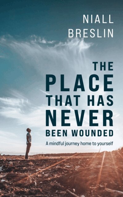 Niall Breslin - Place That Has Never Been Wounded, E-bok