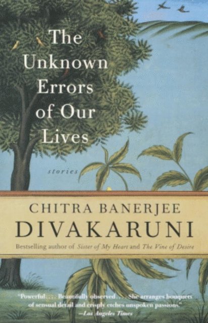 Chitra Banerjee Divakaruni - Unknown Errors of Our Lives, E-bok