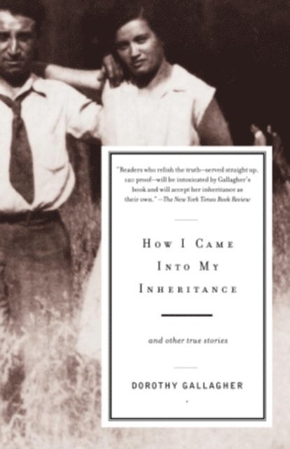 Dorothy Gallagher - How I Came Into My Inheritance, E-bok