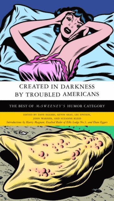 Suzanne Kleid, John Warner, Lee Epstein, Kevin Shay, Dave Eggers - Created in Darkness by Troubled Americans, E-bok