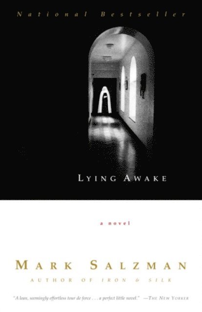 Mark Salzman - Lying Awake, E-bok