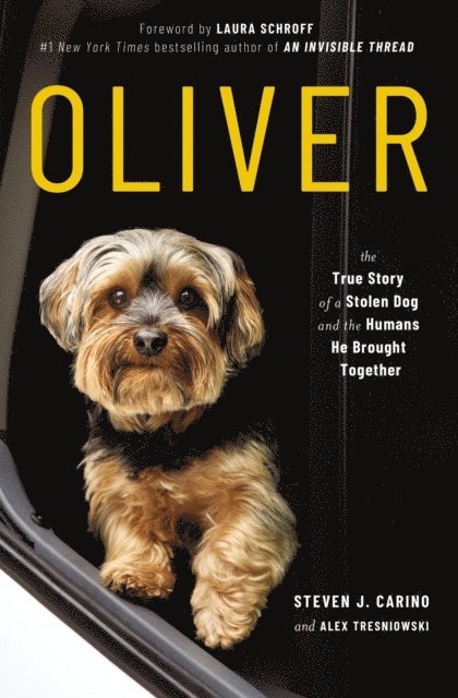 Alex Tresniowski, Steven  J. Carino - Oliver, E-bok