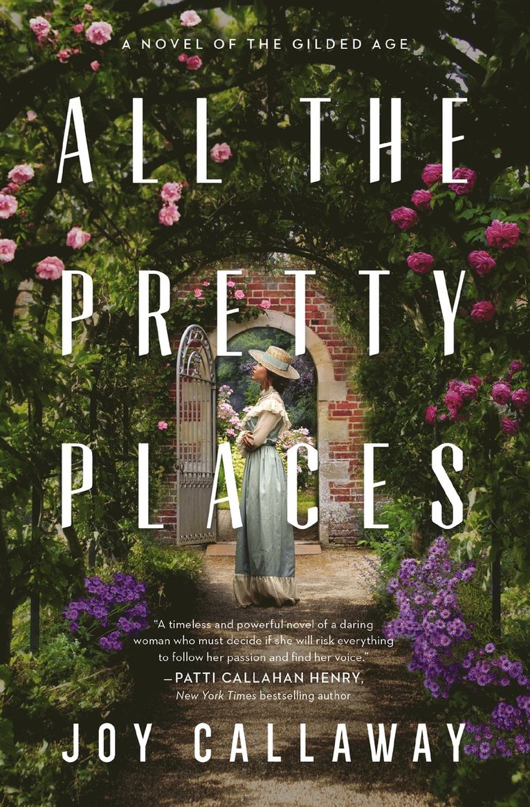 Joy Callaway - All the Pretty Places, Häftad