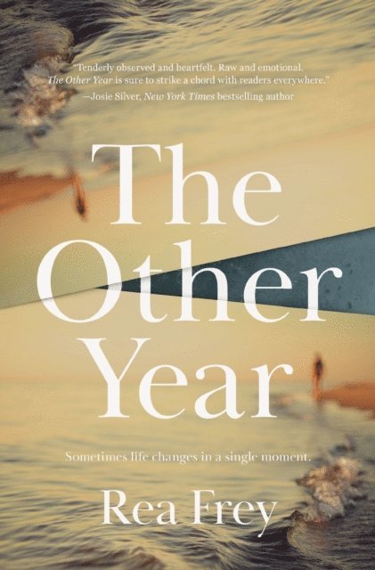 Rea Frey - Other Year, E-bok