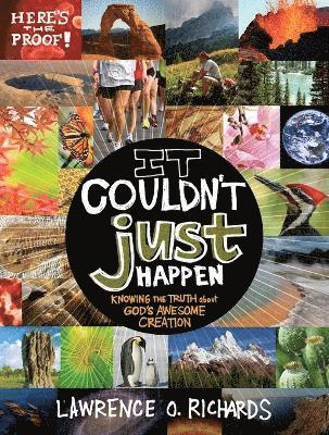 Lawrence O. Richards - It Couldn't Just Happen, Häftad
