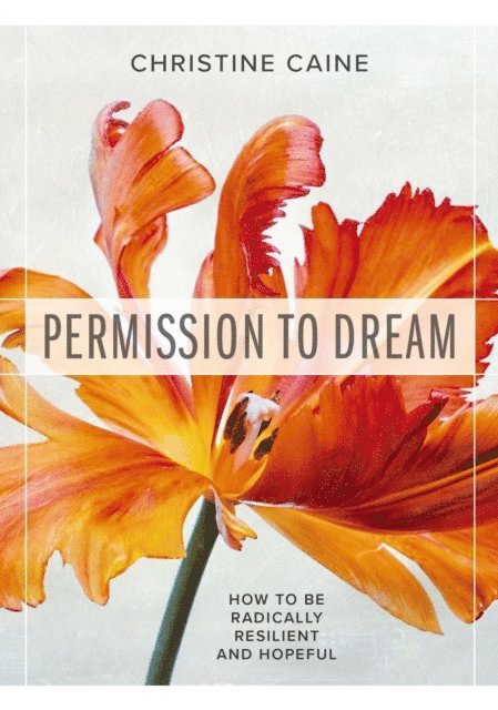 Christine Caine - Permission to Dream, E-bok