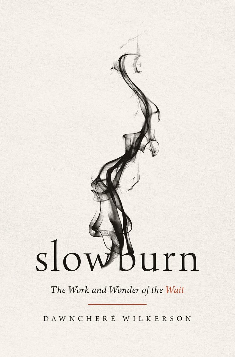 DawnChere Wilkerson - Slow Burn, Häftad