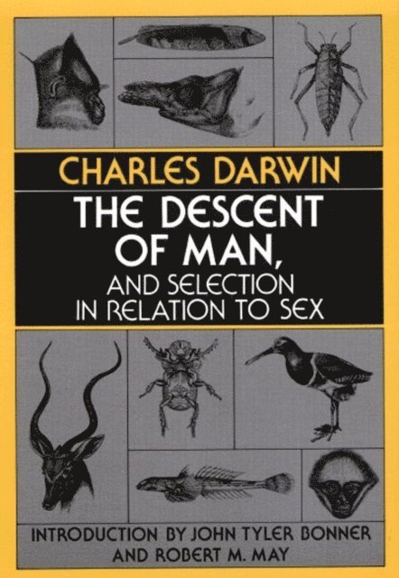 Charles Darwin - Descent of Man, and Selection in Relation to Sex, E-bok