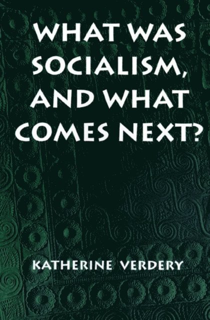 Katherine Verdery - What Was Socialism, and What Comes Next?, E-bok
