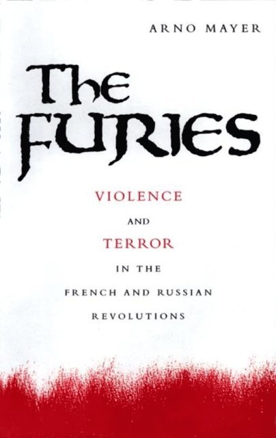 Arno J. Mayer - Furies, E-bok