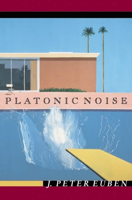 J. Peter Euben - Platonic Noise, E-bok