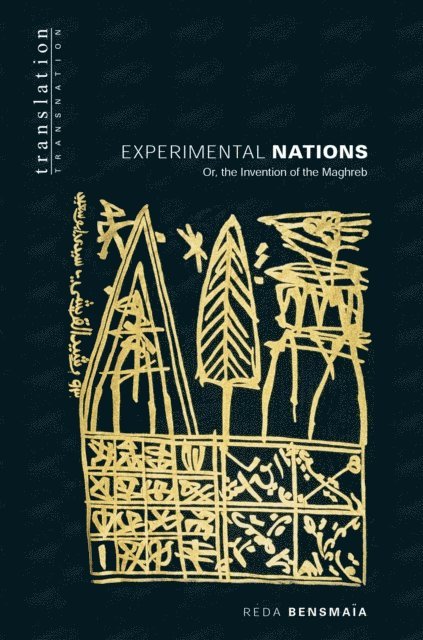 Reda Bensmaia - Experimental Nations, E-bok