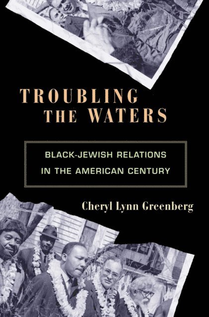 Cheryl Lynn Greenberg - Troubling the Waters, E-bok