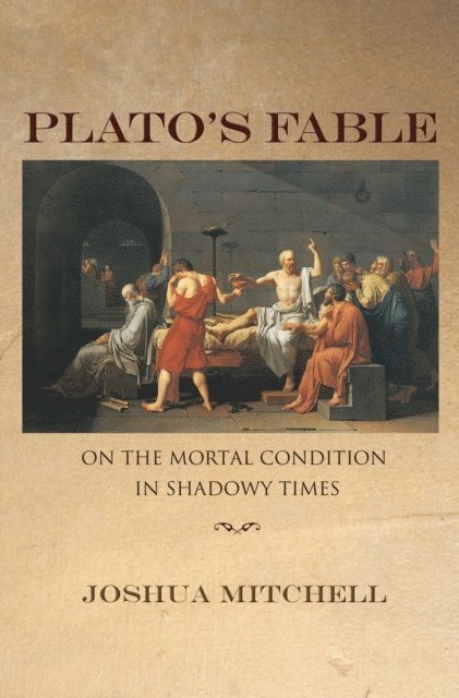 Joshua Mitchell - Plato's Fable, E-bok