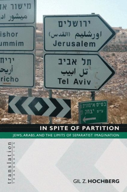 Gil Z. Hochberg - In Spite of Partition, E-bok