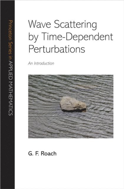 G. F. Roach - Wave Scattering by Time-Dependent Perturbations, E-bok