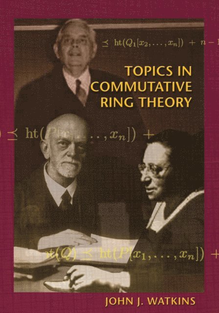 John J. Watkins - Topics in Commutative Ring Theory, E-bok