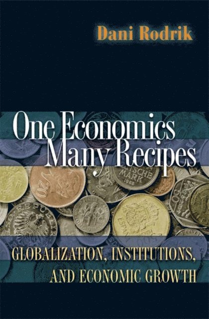 Dani Rodrik - One Economics, Many Recipes, E-bok