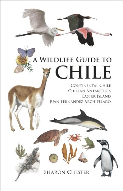 Sharon Chester - Wildlife Guide to Chile, E-bok