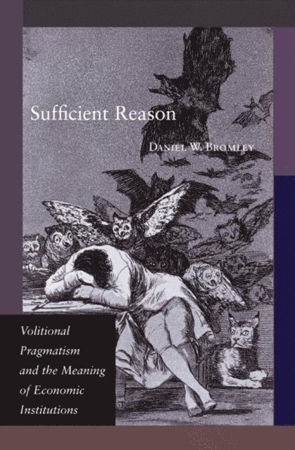 Daniel W. Bromley - Sufficient Reason, E-bok
