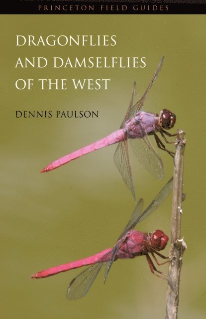 Dennis Paulson - Dragonflies and Damselflies of the West, E-bok