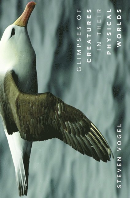 Steven Vogel - Glimpses of Creatures in Their Physical Worlds, E-bok