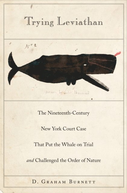 D. Graham Burnett - Trying Leviathan, E-bok