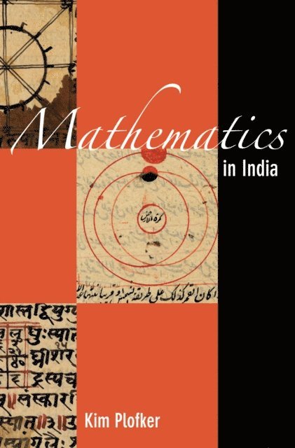 Kim Plofker - Mathematics in India, E-bok