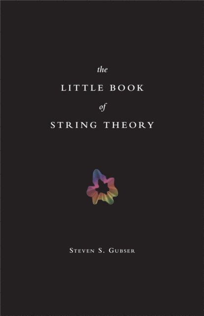 Steven S. Gubser - Little Book of String Theory, E-bok