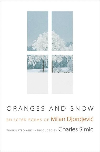 Milan Djordjevic - Oranges and Snow, E-bok