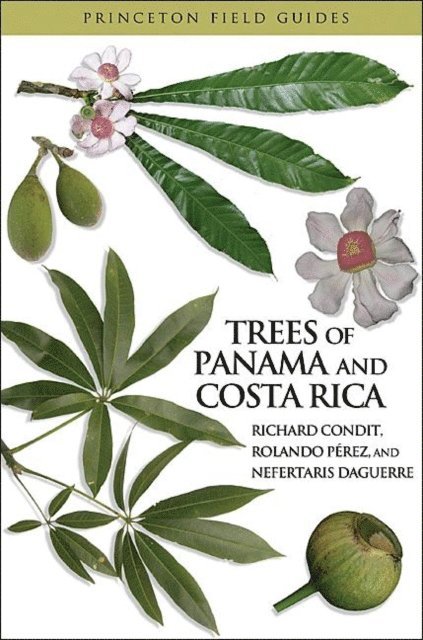 Nefertaris Daguerre, Rolando A. Perez, Richard Condit - Trees of Panama and Costa Rica, E-bok