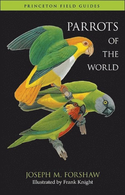 Joseph M. Forshaw - Parrots of the World, E-bok